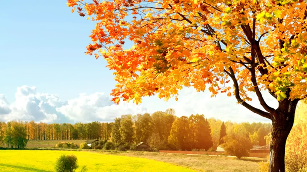 Cum va fi vremea în următoarele două săptămâni