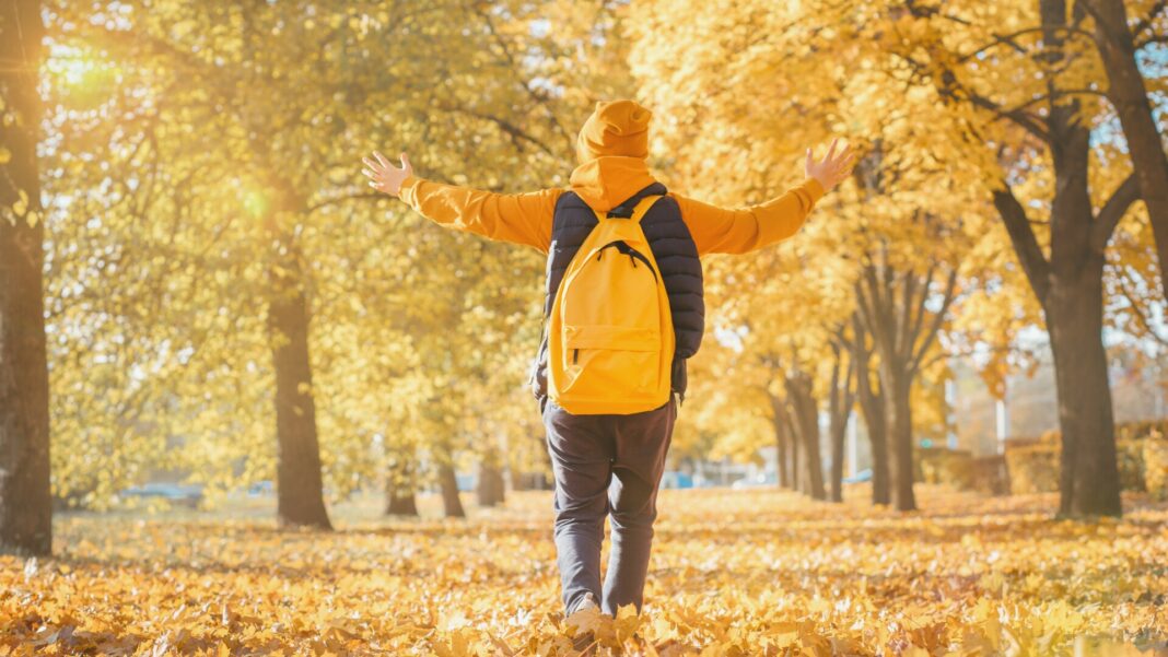 Vacanță pentru toți elevii în octombrie