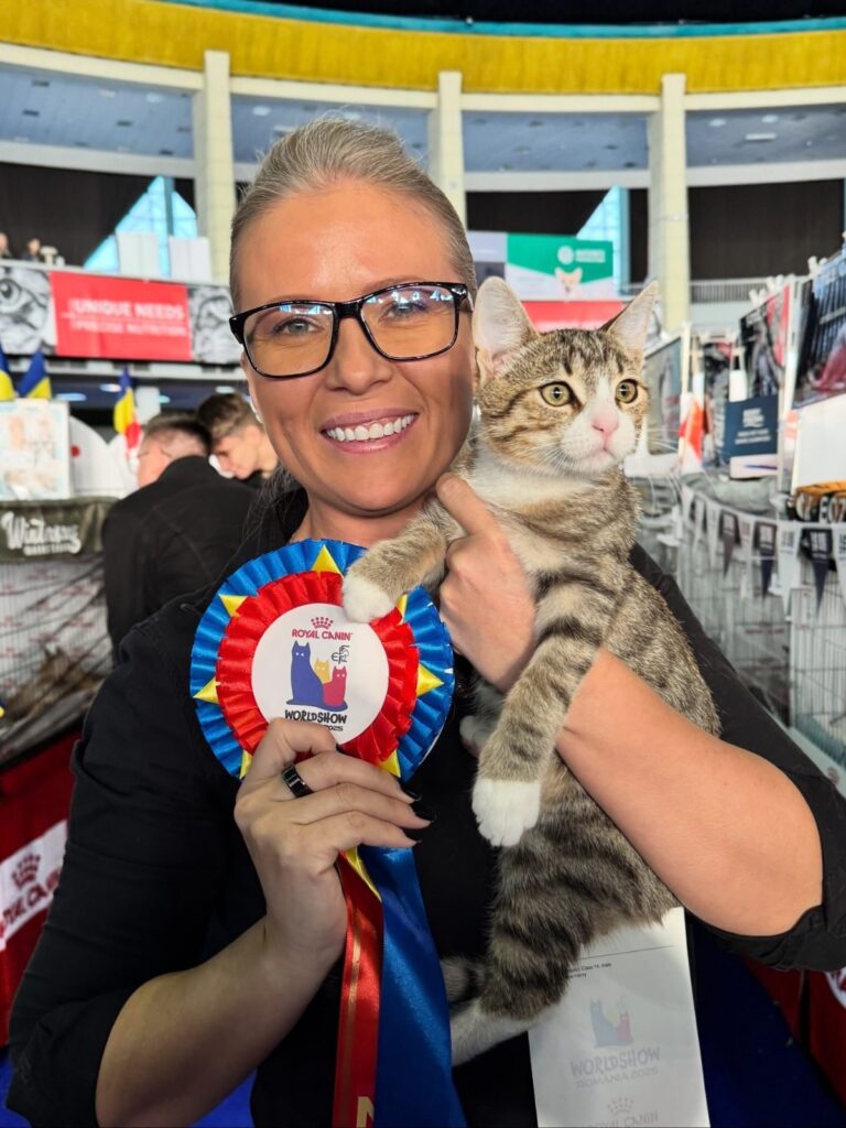 Vedeta absolută a popularităţii la Campionatul Mondial Felin a fost un motănel salvat de pe stradă