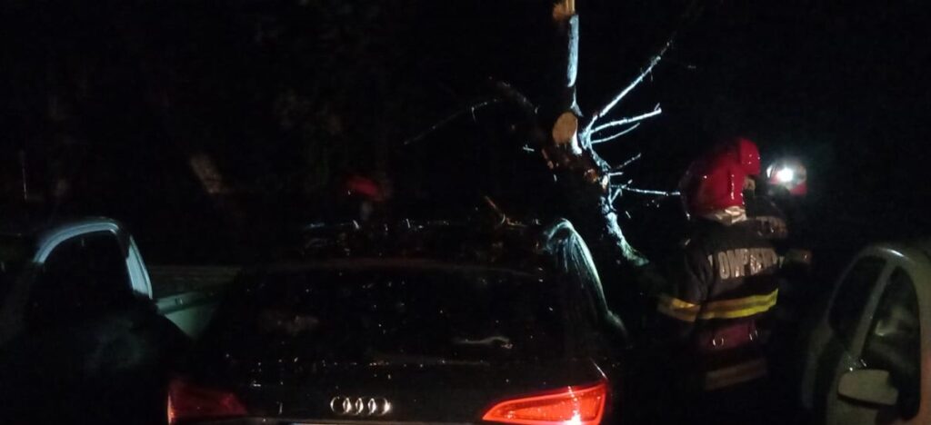 Râmnicu Vâlcea: Degajarea unui copac căzut peste un autoturism parcat