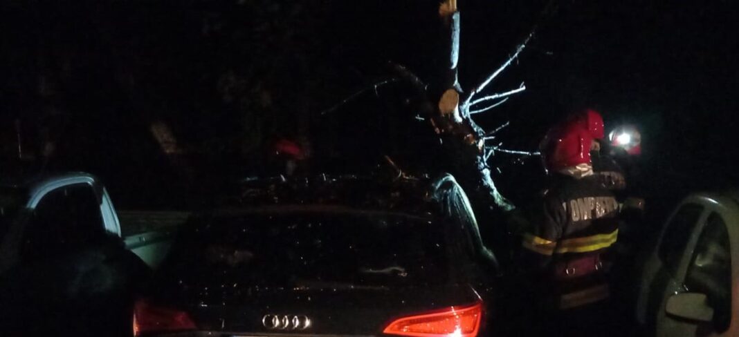 Un copac a căzut pe o mașină parcată