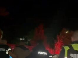 Doi bărbați din Fărcaș, reținuți pentru distrugere