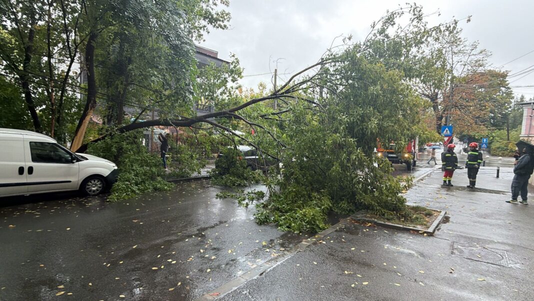 Circulația pe o stradă din centrul Craiovei, blocată de un copac rupt