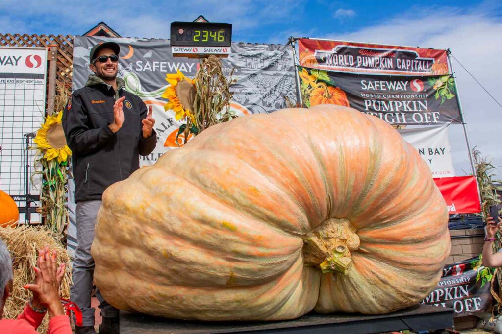 Un fermier din California a obținut un dovleac de 1.064 kg