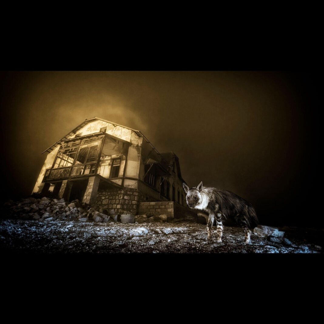 Fotograful Wim van den Heever a primit titlul de Fotograful Anului în domeniul naturii