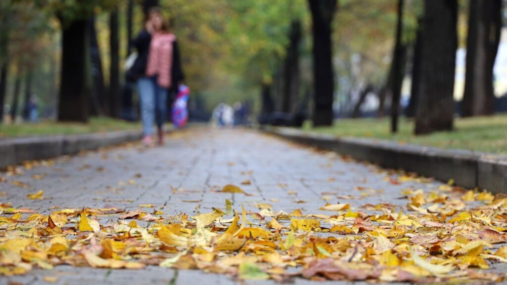 Cum va fi vremea până la jumătatea lunii noiembrie