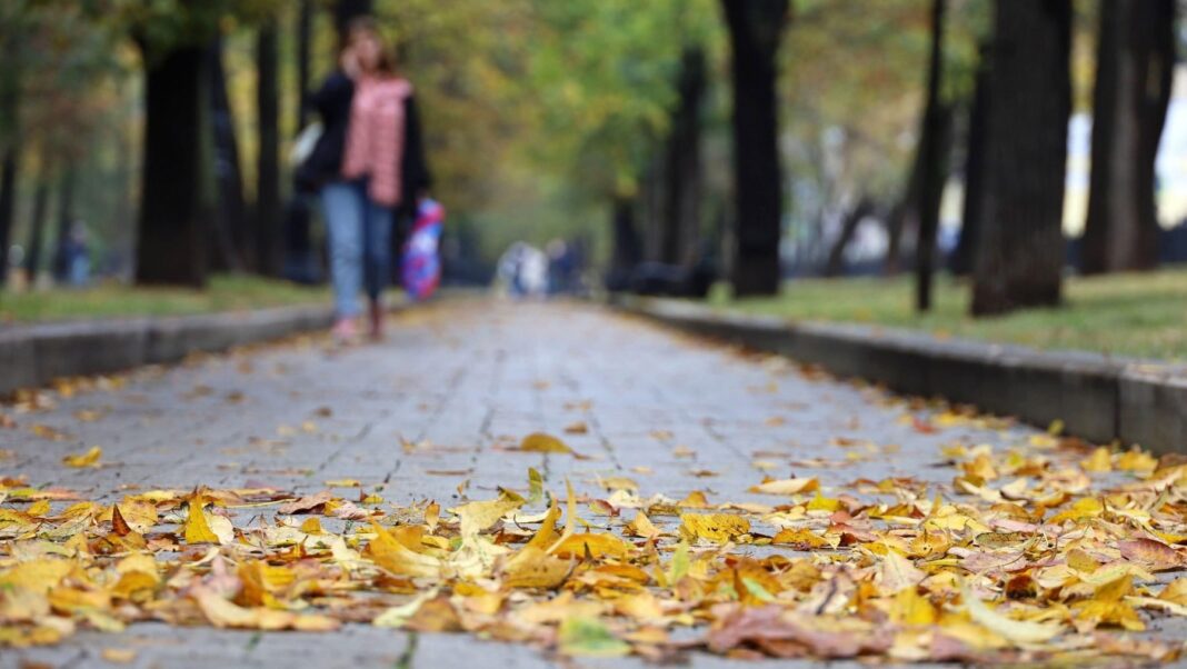 Cum va fi vremea până la jumătatea lunii noiembrie