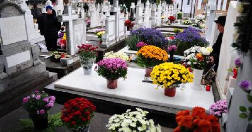 Craiova: Cercetaţi după ce au încercat să fure flori de pe mormintele din cimitir