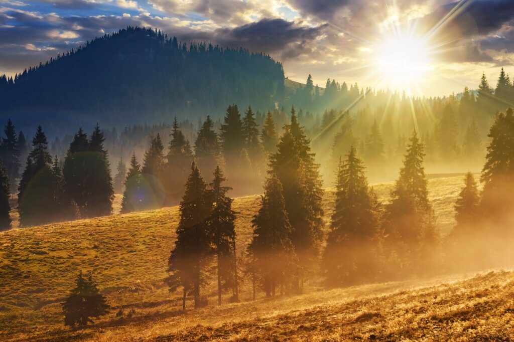 Meteorologii anunţă vreme mai caldă și ploi mai puține în noiembrie