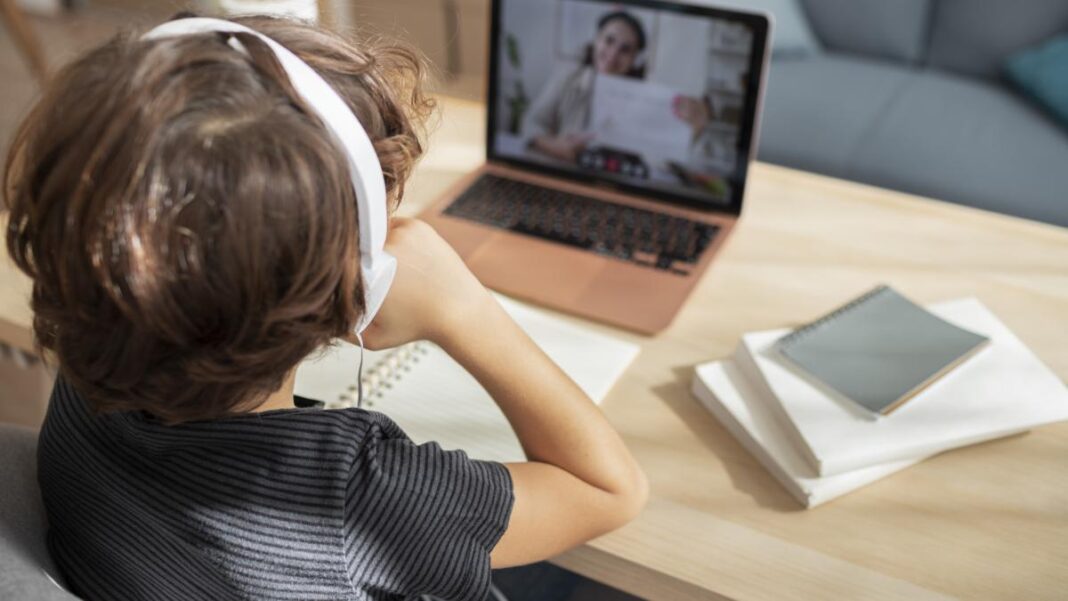 Majoratul online, aprobat de comisia de apărare din Senat