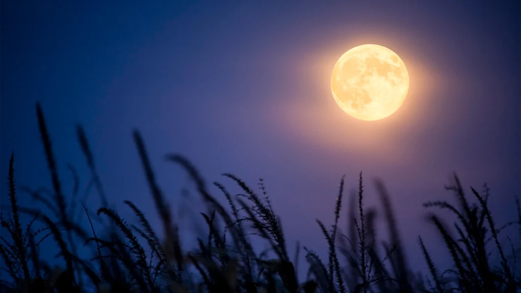 În această seară putem admira cea mai mare lună plină din acest an, Superluna Recoltei
