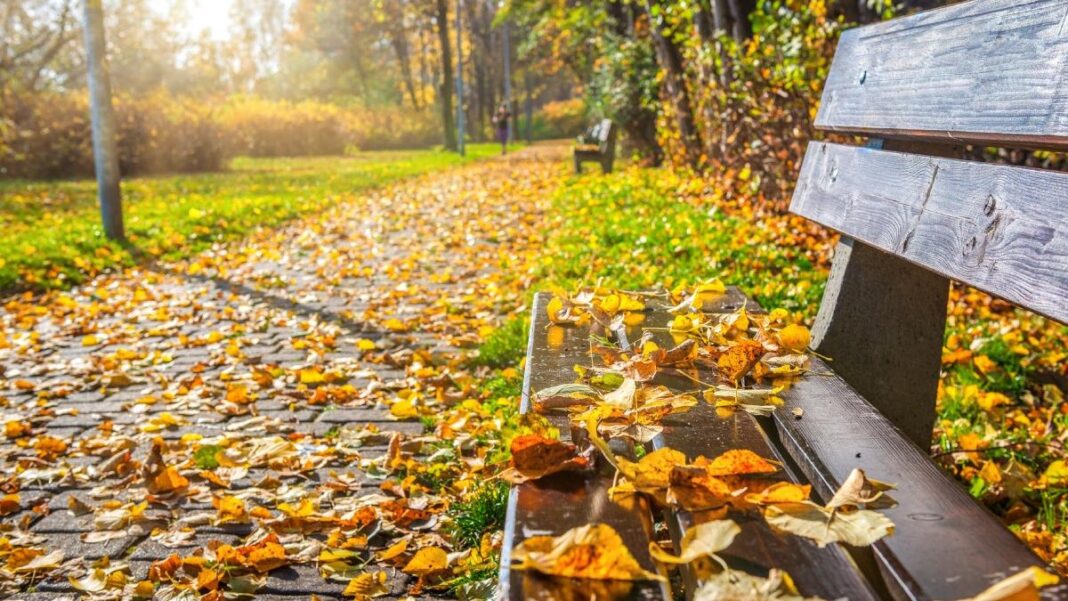 Cum va fi vremea în următoarele patru săptămâni