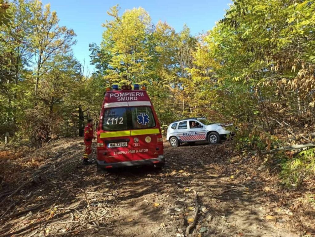 Un tânăr a murit după ce a fost lovit de un copac într-o exploatare forestieră