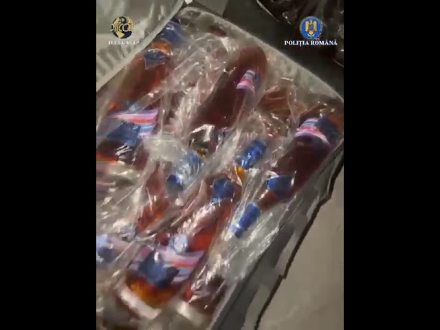 (VIDEO) Trafic de minori în Gorj: minor salvat în urma unei anchete DIICOT