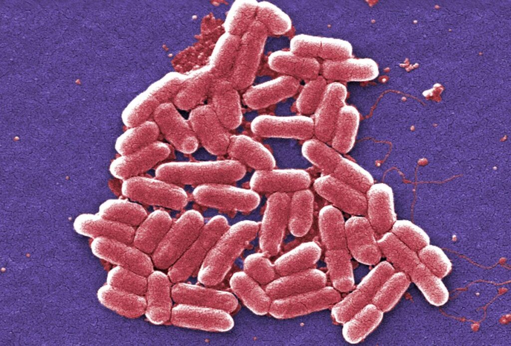 Descoperire revoluționară: un antibiotic de 100 de ori mai puternic împotriva superbacteriilor mortale