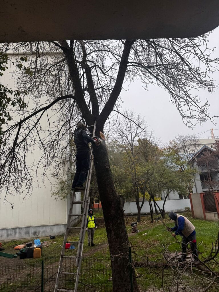 Spațiul verde dintre blocuri, proprietate privată