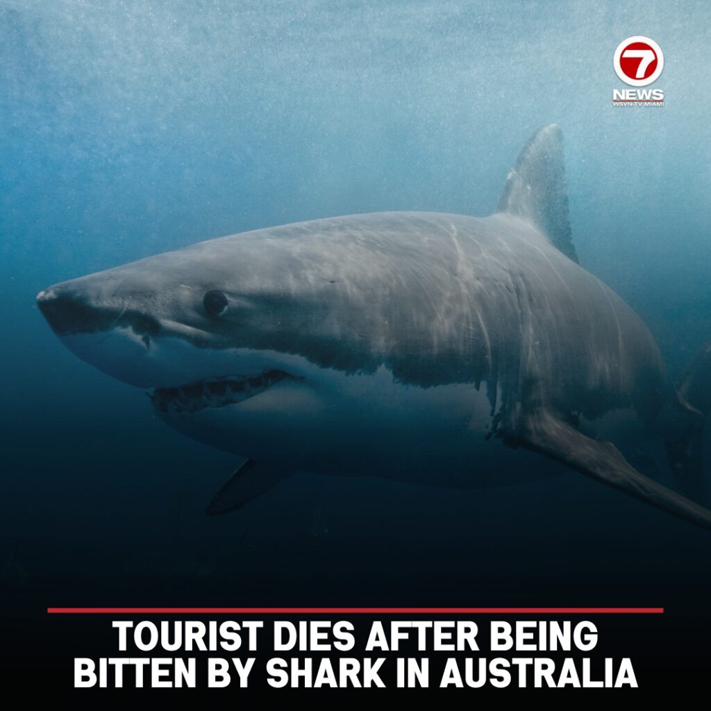Tragedie în Australia: O turistă a murit după atacul unui rechin la Crowdy Bay