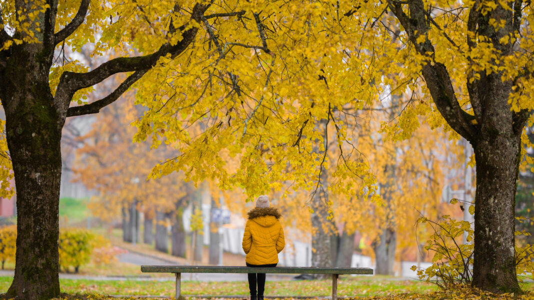 Cum va fi vremea în următoarele patru săptămâni