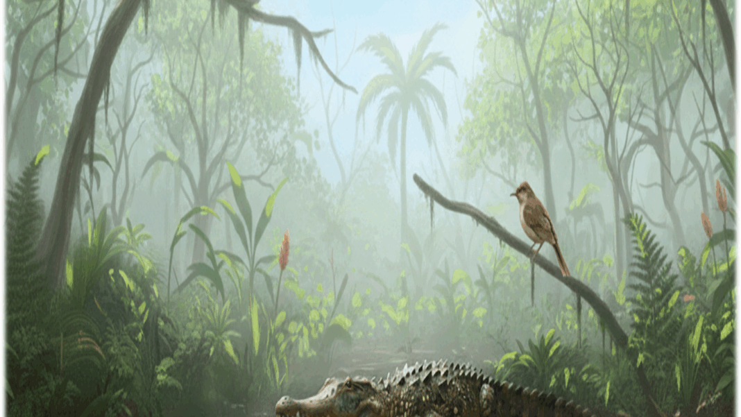 Australia: O reconstrucție generată de inteligența artificială a aspectului unui „crocodil cu picătură” sau crocodil mekosuchin