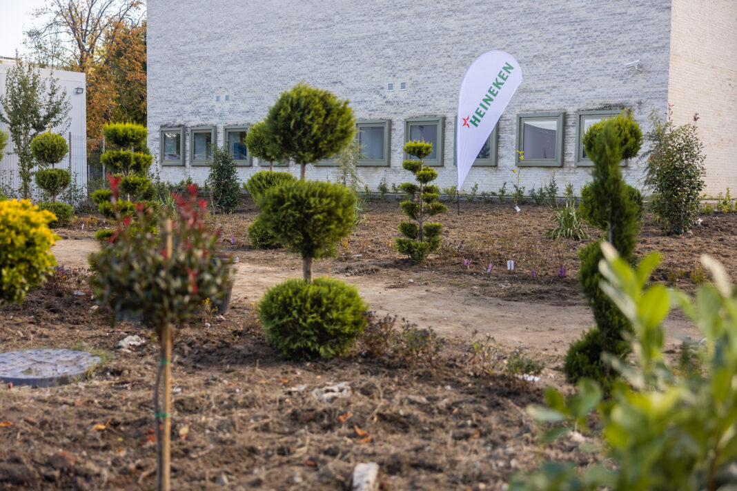 Voluntarii HEINEKEN România au transformat curtea Spitalului Județean Craiova