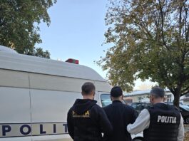Urmărit internațional prins în Băilești