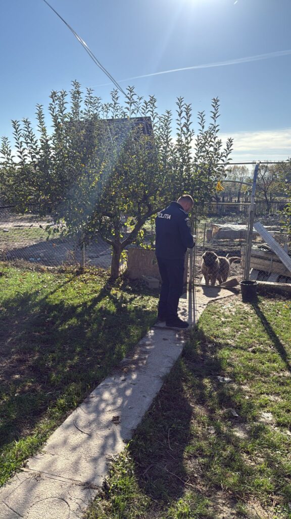 Poliția Vâlcea verifică deținerea câinilor periculoși