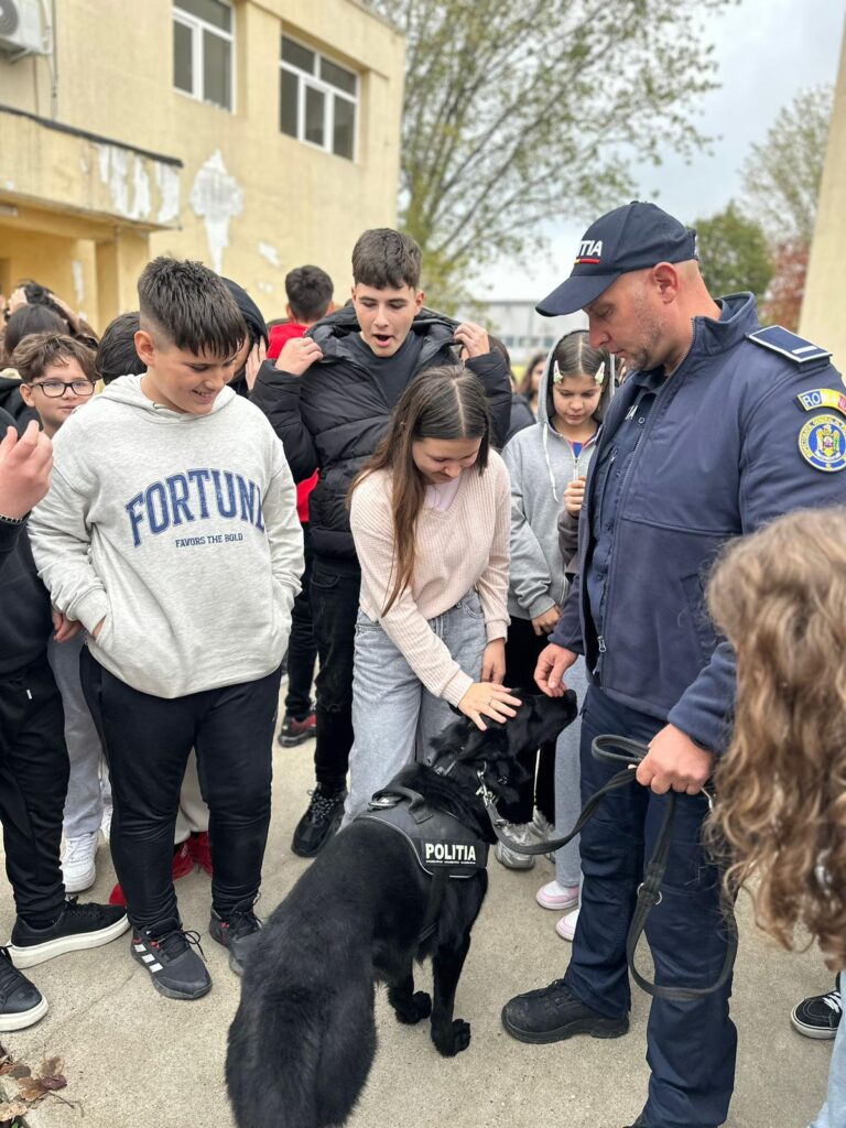 Acțiuni pentru siguranța elevilor în școlile din județul Dolj