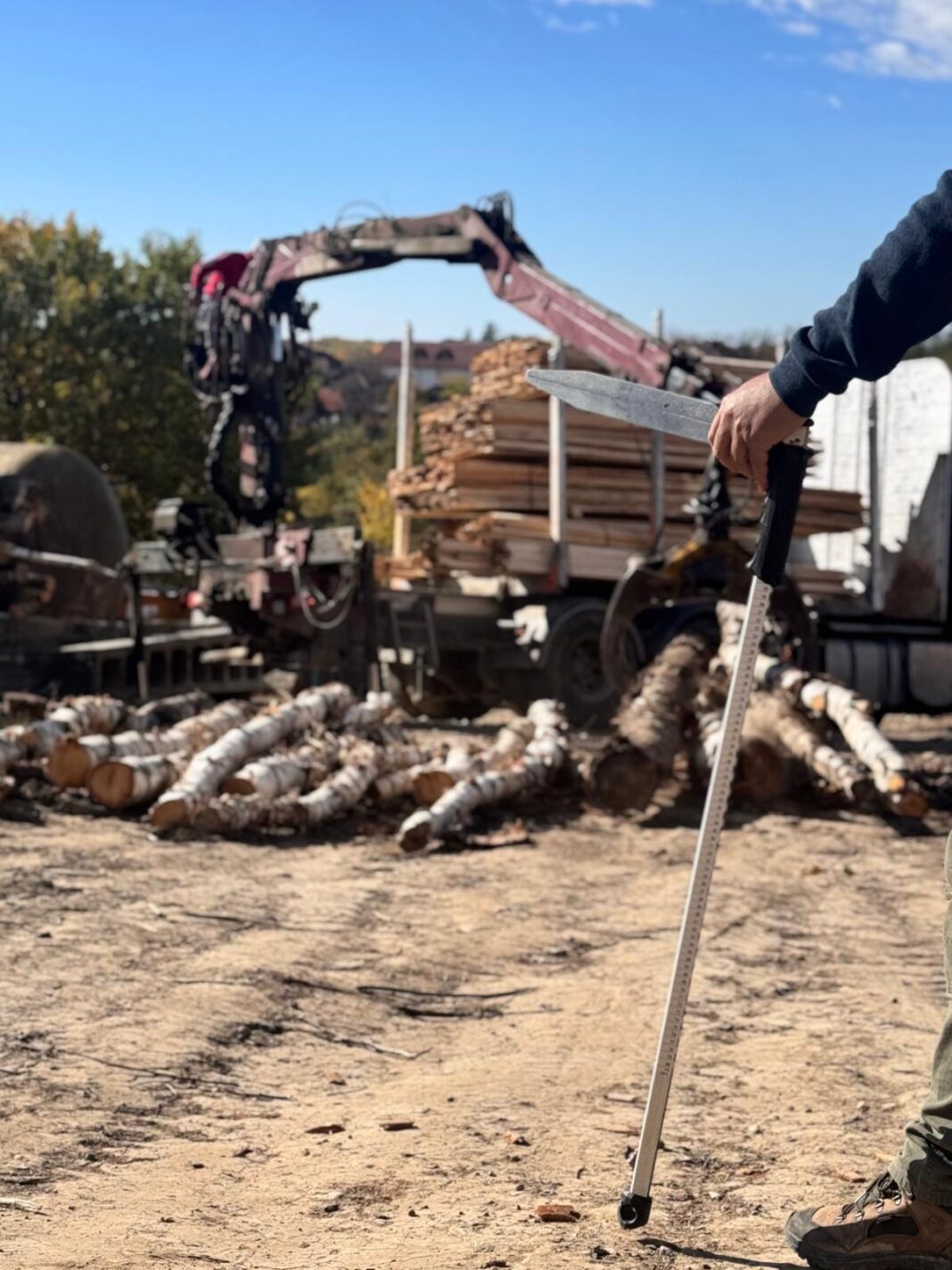 Polițiștii din Novaci au confiscat peste 50 mc de lemn de foc