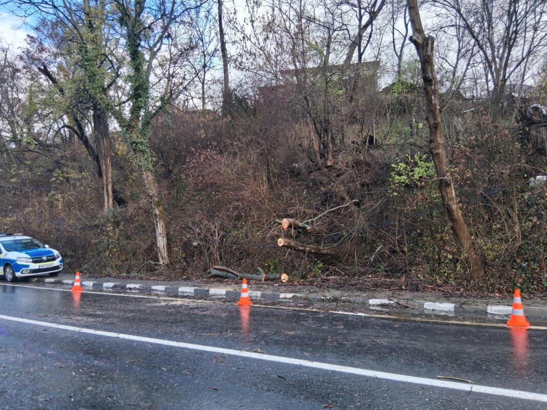Vâlcea: Copac căzut peste un autoturism aflat în mers, în localitatea Vlădești. Nu au fost victime