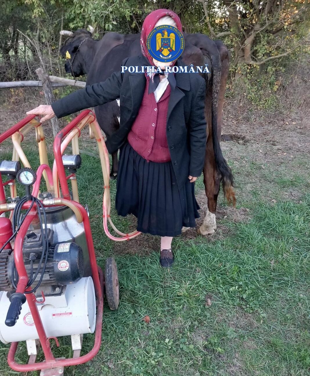 Bunurile fuseseră deja vândute