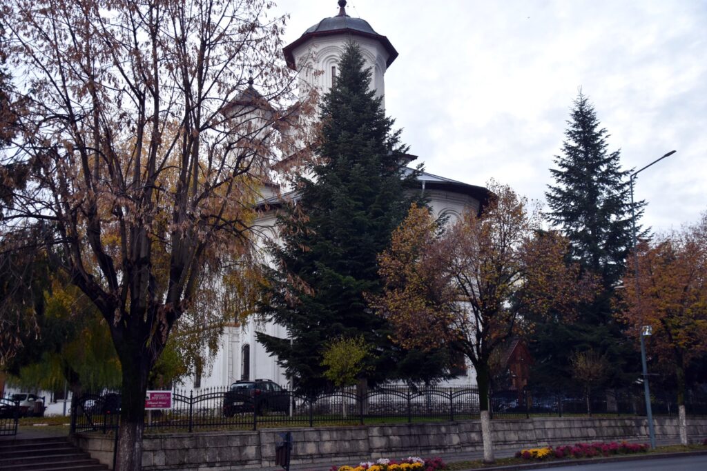 Bradul de Crăciun al Râmnicului vine anul acesta de la doar 400 de metri distanță