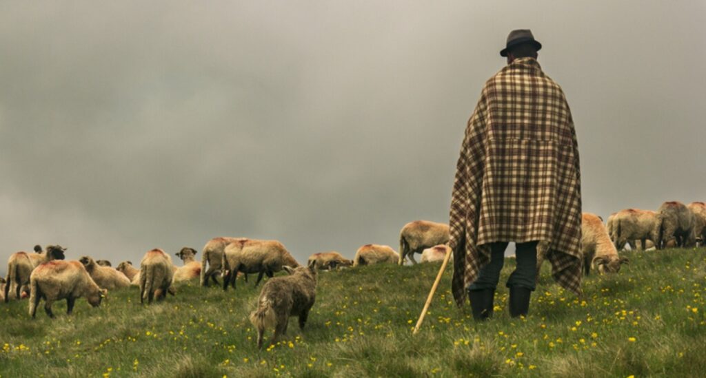 Un cioban s-a înecat într-un râu