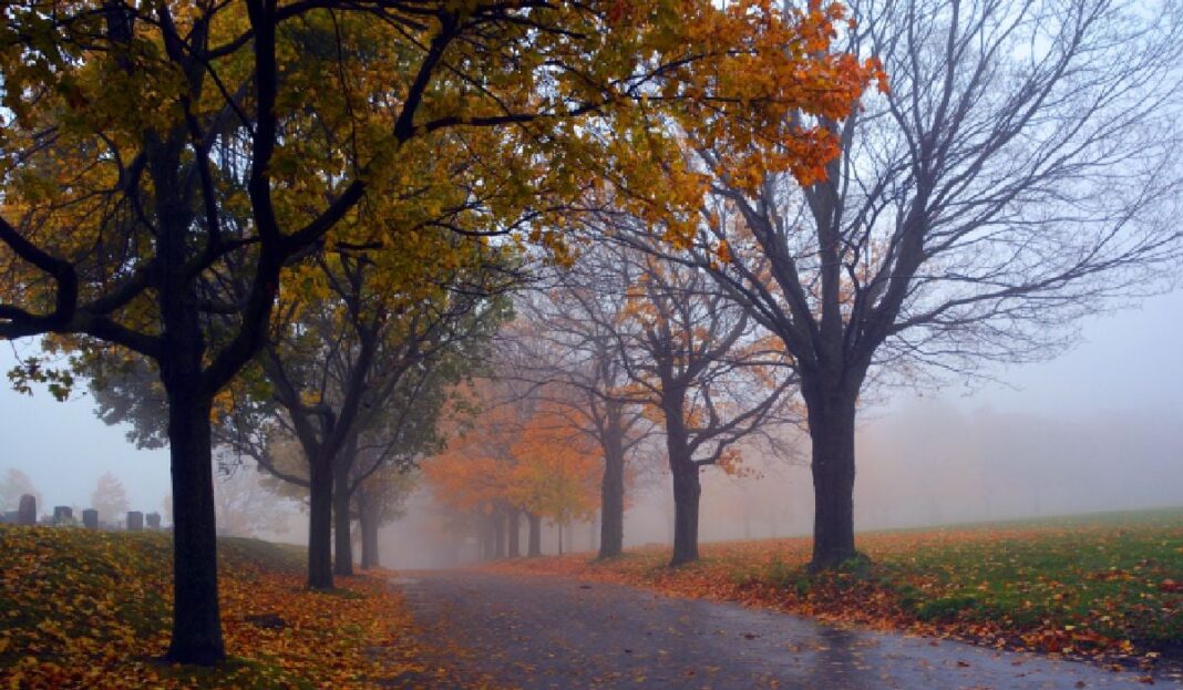 intervalul 17 noiembrie - 15 decembrie