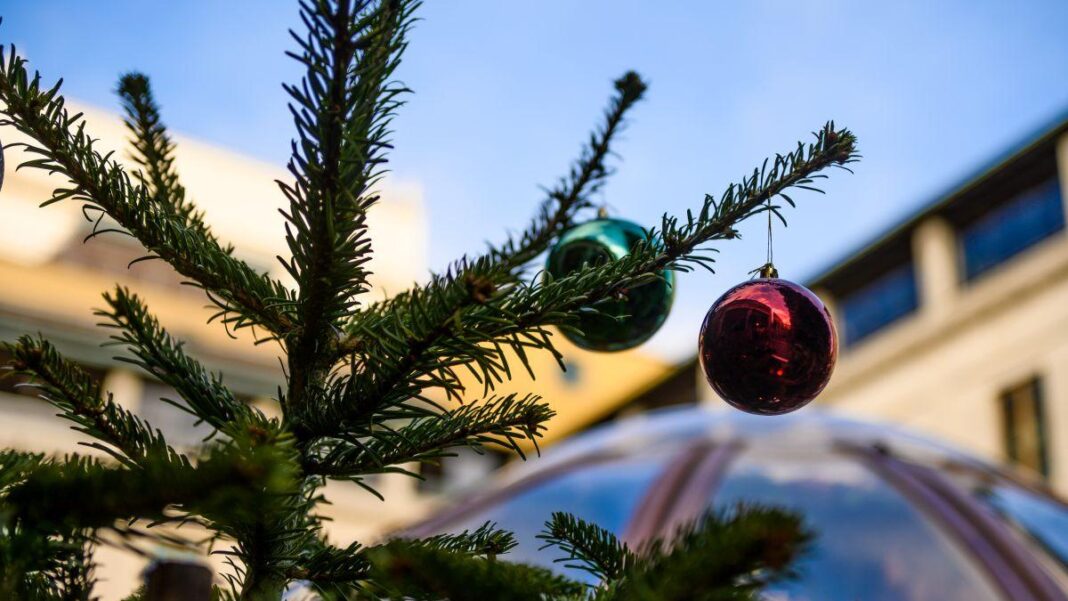 Cum va fi vremea în luna decembrie