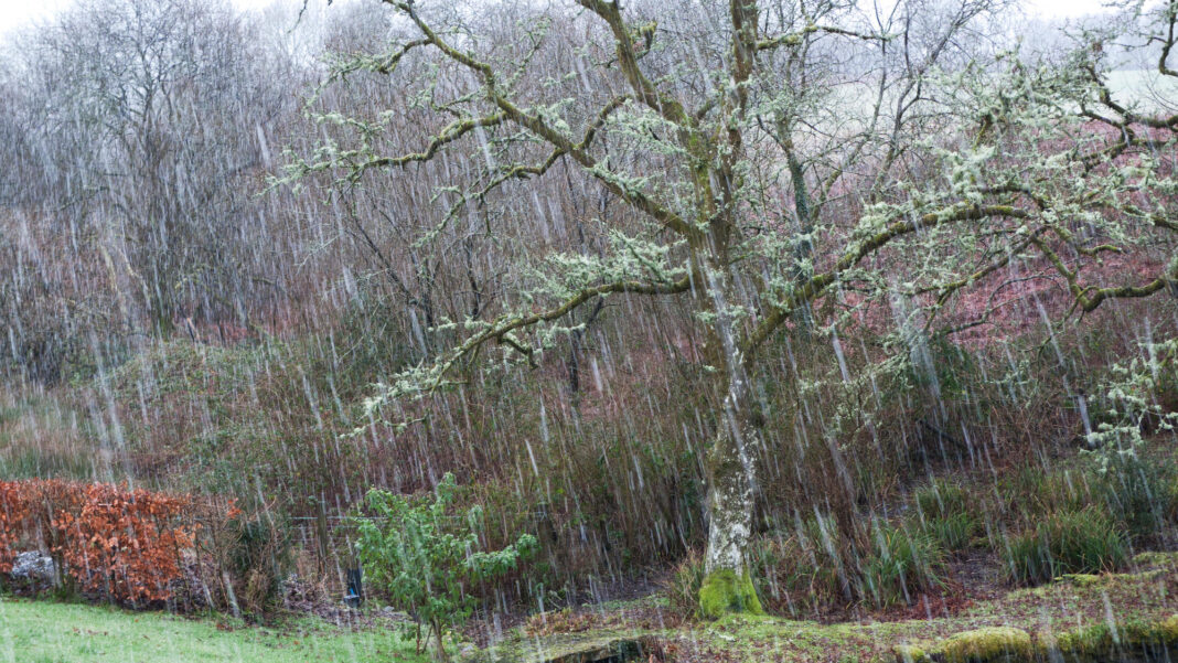 Precipitații abundente sub formă de ploaie, lapoviță și ninsoare