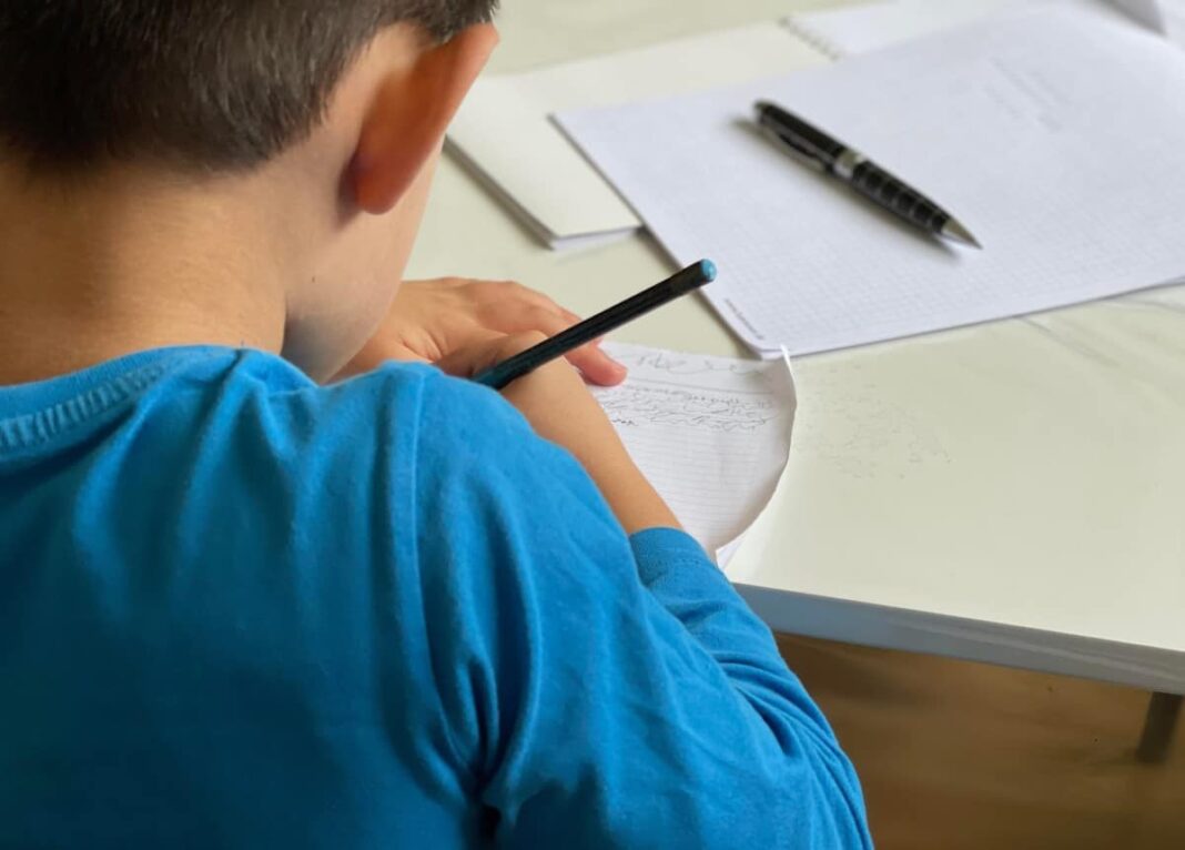 Noi reguli pentru temele elevilor, publicate de Ministerul Educației