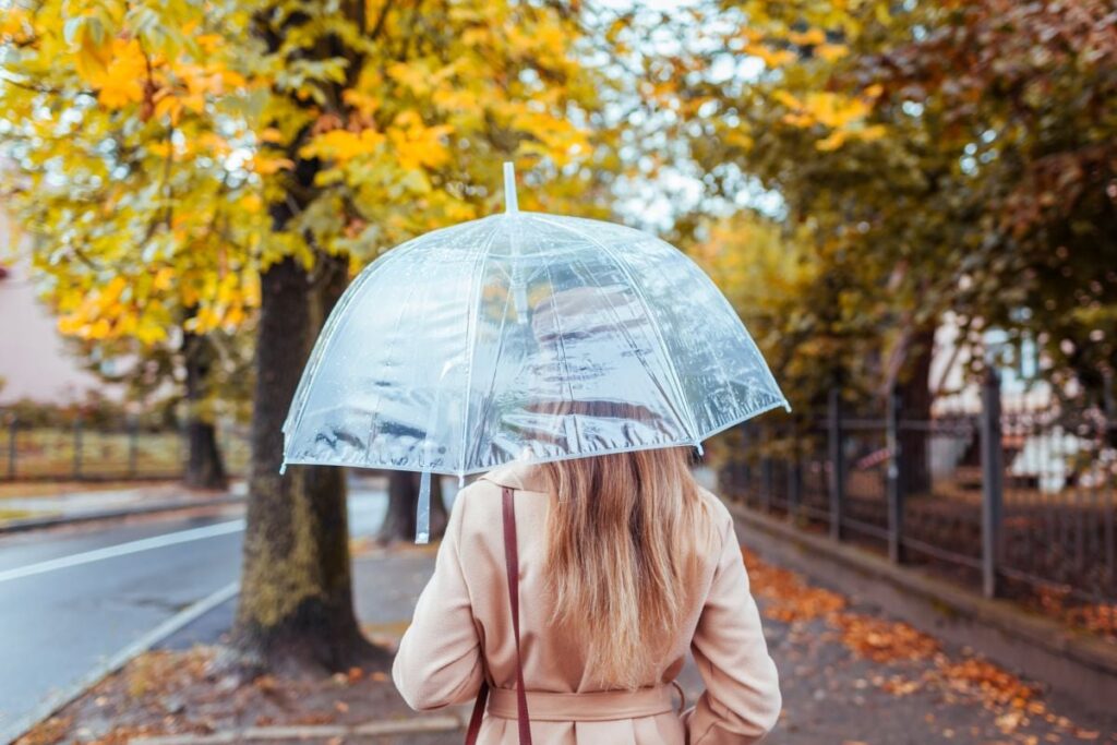 Cum va fi vremea în următoarele două săptămâni