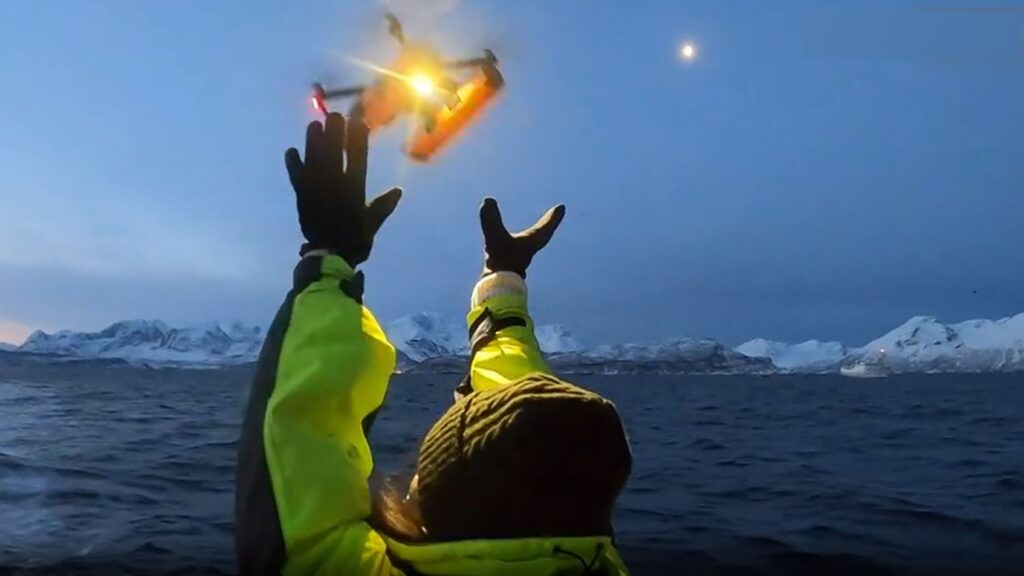 Cercetătorii au prelevat probe de balene cu cocoașă, cașaloți în Atlanticul de Nord-Est