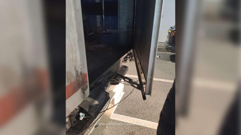 Tentativă de intrare ilegală în România, dejucată de polițiștii de frontieră români și bulgari