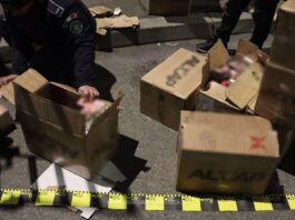 14.090 de produse de parfumerie ridicate în urma unei acțiuni BLITZ