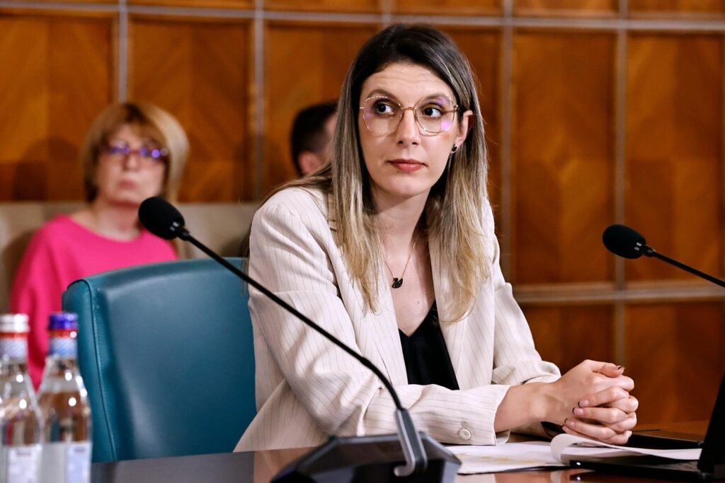 Diana Buzoianu: Camioanele care intră în ţară cu deşeuri ilegale, scanate cu un echipament care a costat 2 milioane de euro