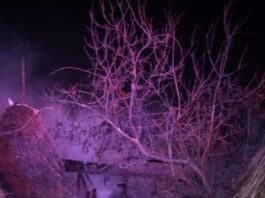 Pompierii vâlceni au intervenit cu trei autospeciale pentru a limita extinderea flăcărilor la locuințele învecinate.