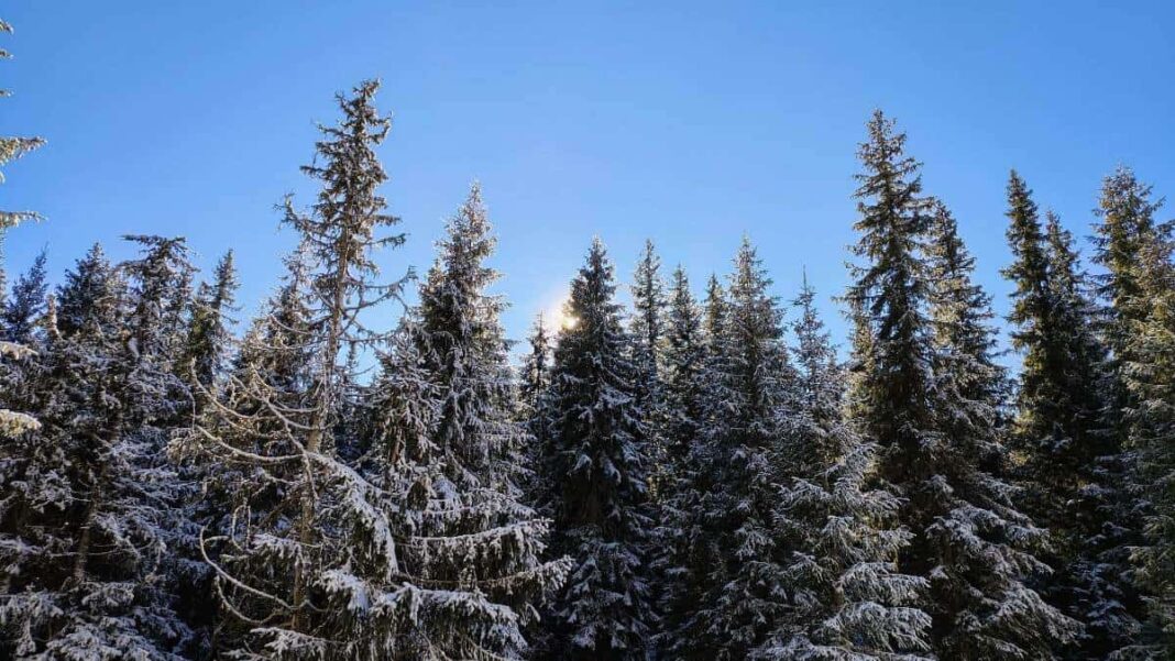 Cum va fi vremea în următoarele patru săptămâni