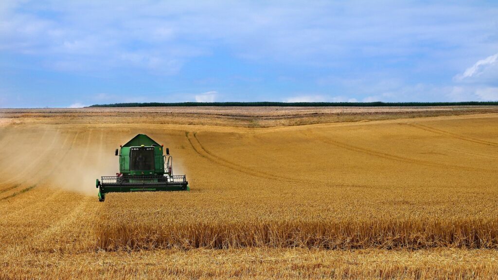 Investiții blocate, agricultură compromisă: cum a pus pe butuci o interpretare fiscală Coop Agricolă Segarcea