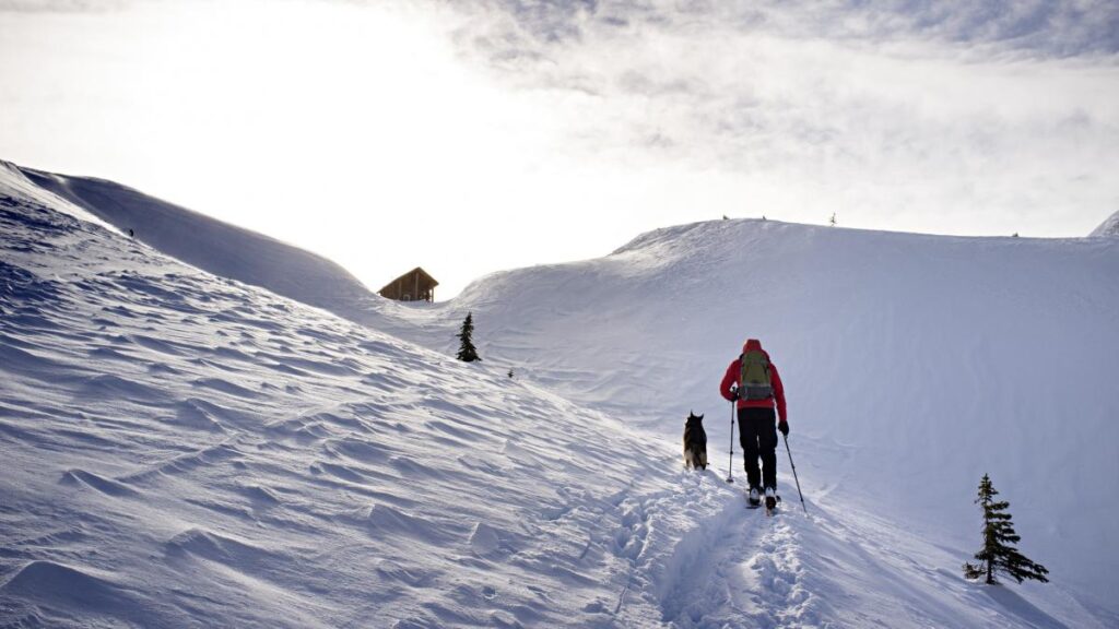 Risc ridicat de avalanșă în zonele montane înalte