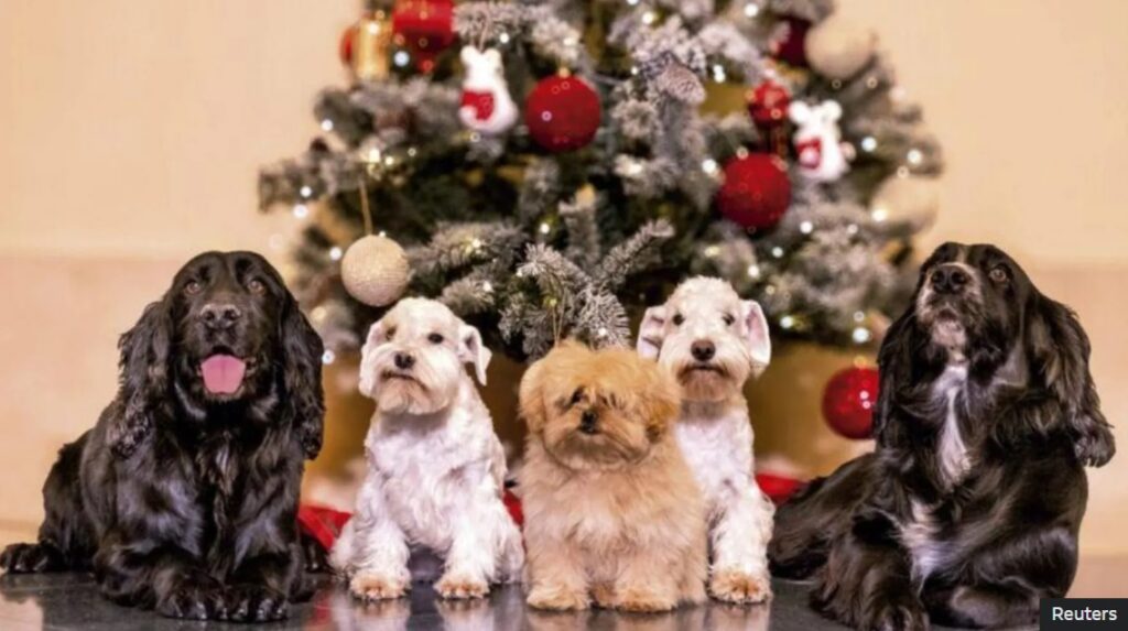 Juan Carlos, fostul rege al Spaniei, a oferit o felicitare cu  cățeluși