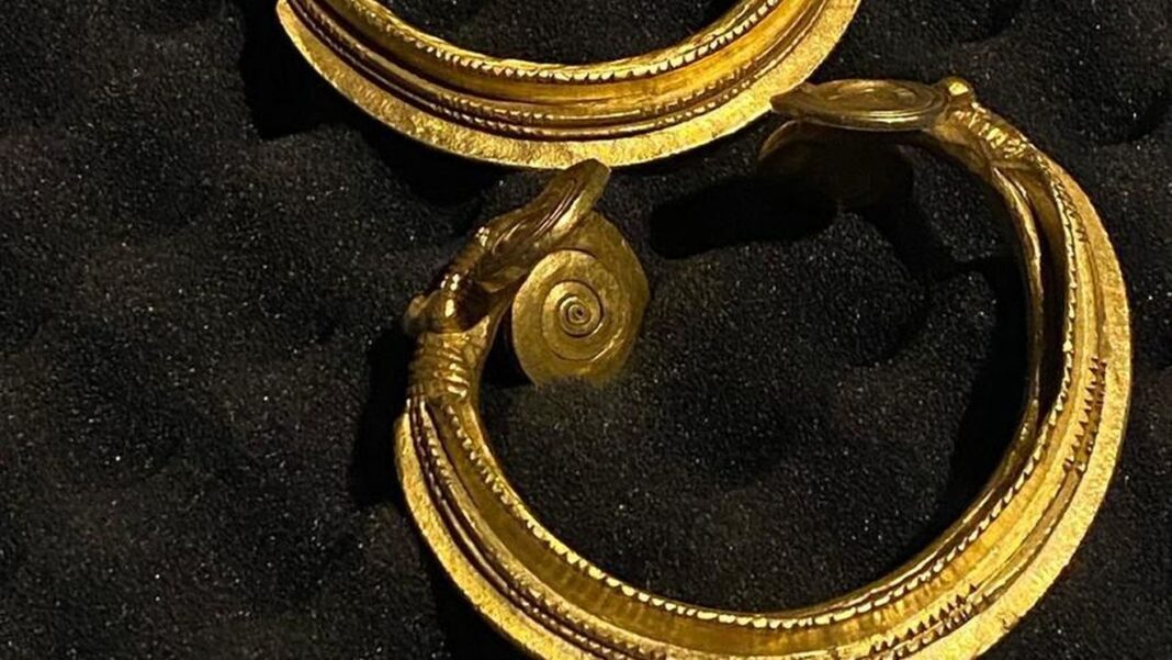 Brăţări din aur vechi de trei milenii, descoperite într-o pădure din județul Gorj