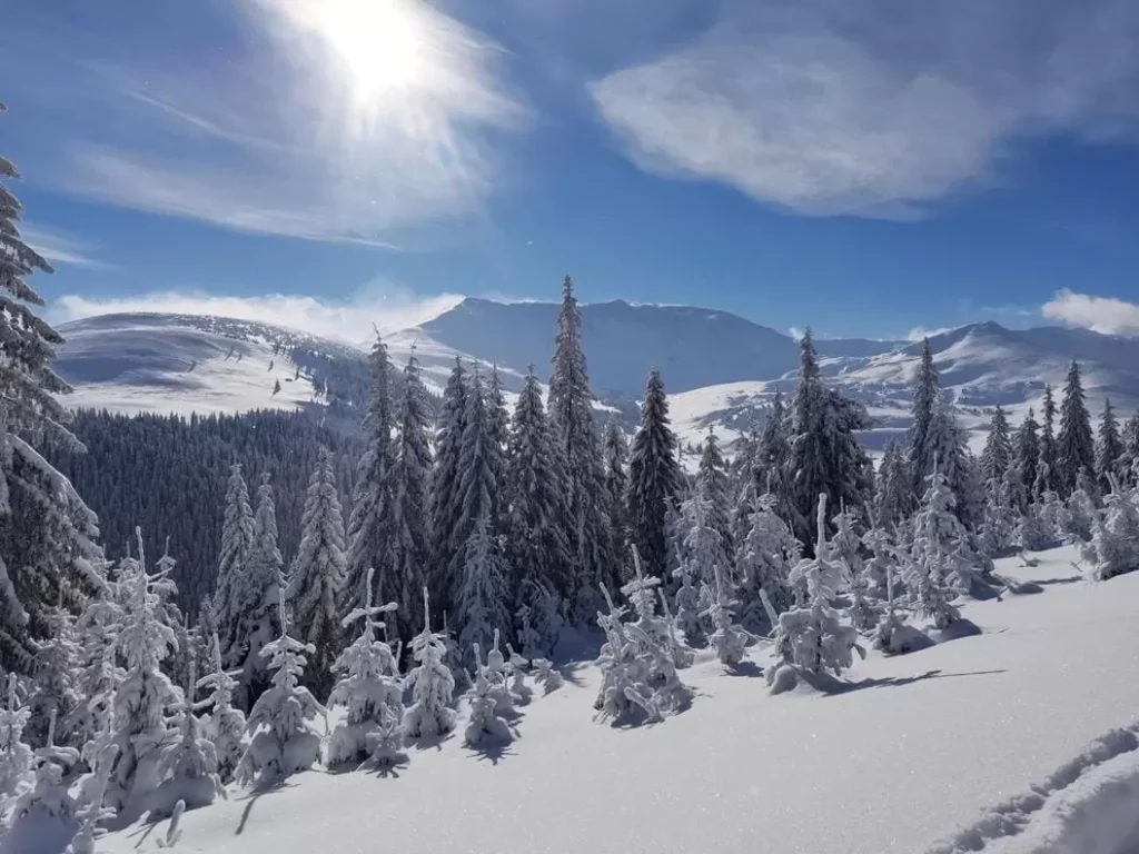 Meteorologii schimbă prognoza pentru finalul anului. Cum va fi vremea de Revelion