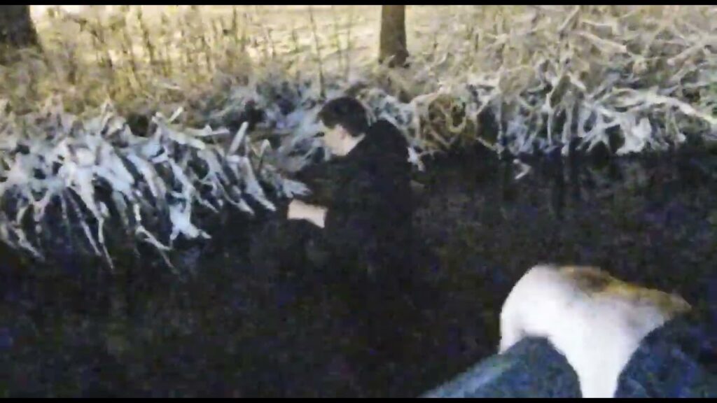 (VIDEO) Bărbat salvat de jandarmi după ce a căzut în lac, urmărit de o haită de câini, în Parcul Romanescu