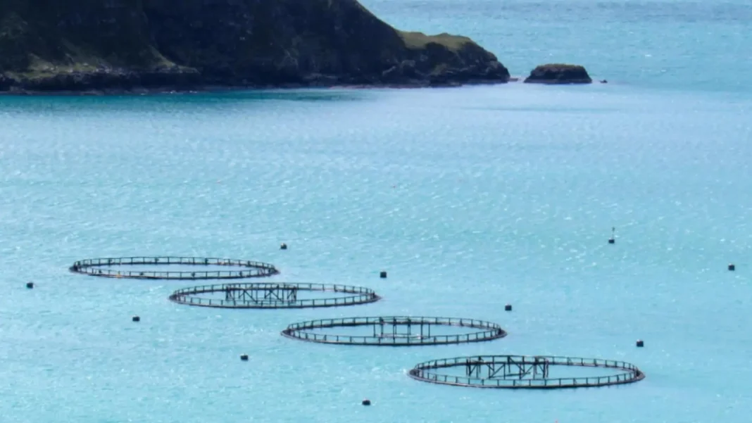 Norvegia angajează români cu salarii de peste 3.000 de euro